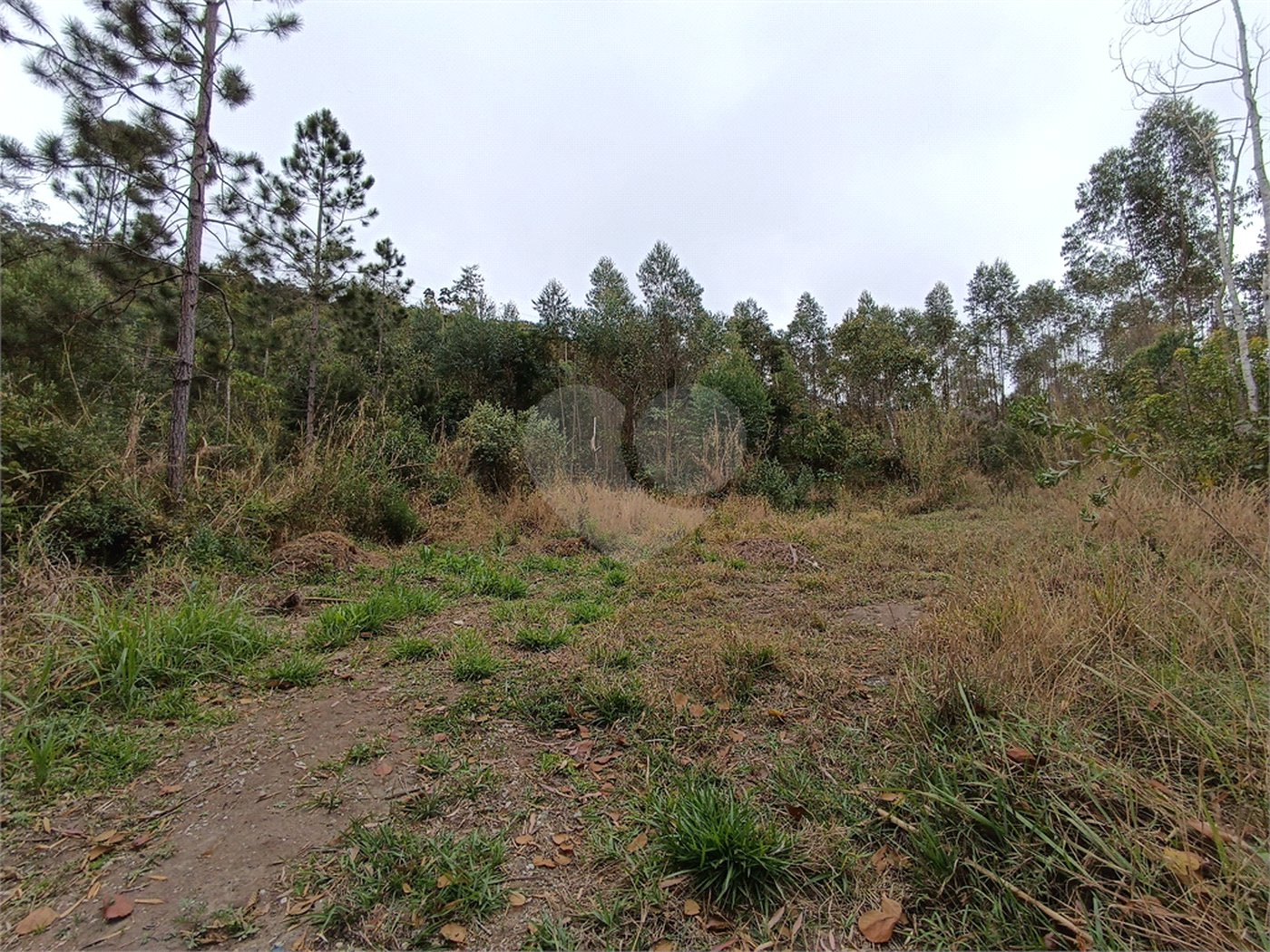 Terreno à venda em Vila Junqueira, São Roque, SP