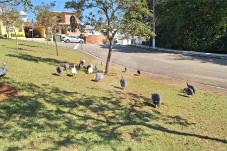 Casa à venda com 3 quartos, sendo 1 suíte, no condomínio Golden Park Residence, Sorocaba - SP