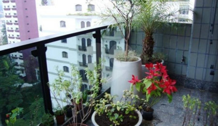 Apartamento à venda com 4 quartos, sendo 2 suítes, em Água Fria, São Paulo, SP
