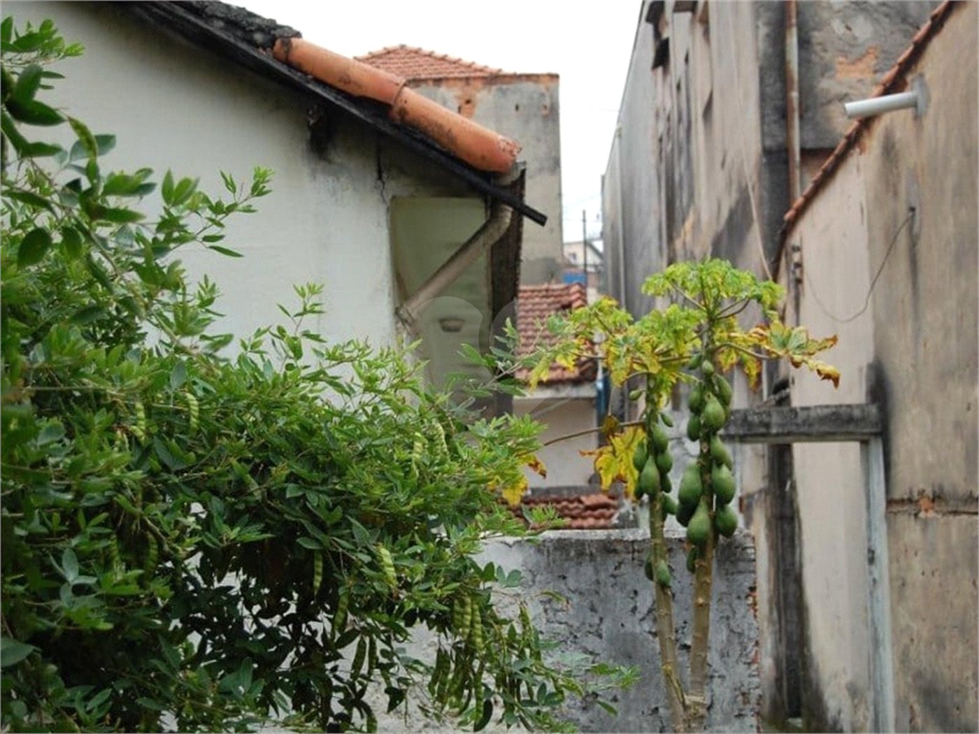 Terreno à venda com 1 quarto em Casa Verde, São Paulo, SP