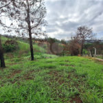 Área de Terra à venda com 1 suíte em Cocais, Itatiba, SP