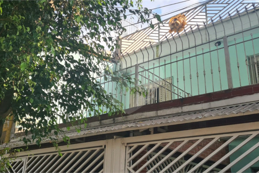 Sobrado à venda com 2 quartos em Parque Edu Chaves, São Paulo, SP