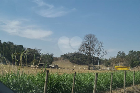 VENDA SÍTIO 48 hectares com estruura para granja, hidroponia e gado