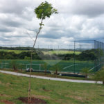 Terreno Plano 388m² - Portoville - Atibaia