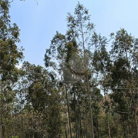 Terreno a venda no Bairro da Cachoeira em Atibaia