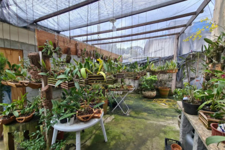 Terreno à venda em Vila Pirajussara, São Paulo, SP