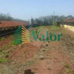 Sítio Estrada São Carlos Ribeirão - próximo São Carlos