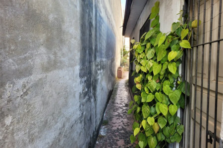 Casa na região do alto da Mooca com 242m² de área total.