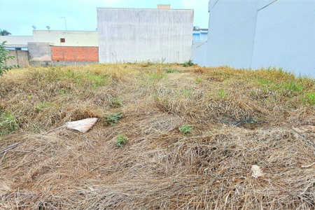Terreno Amplo e Bem Localizado no Planalto Paraíso em São Carlos