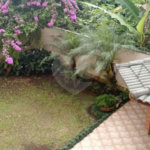 Linda Casa Jardim França