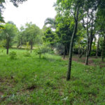 Chácara a venda no Residencial Planalto Serra Verde em Itirapina