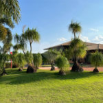 Terreno a venda em Analandia Estancia Cavalinho