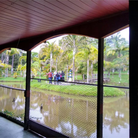 Sítio comercial ou residencial 8 quartos 46.000 m² - Biritiba Ussu SP