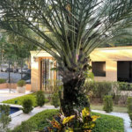 Apartamento Alto Padrão Lazer Completo ,3 suítes com 4 vagas, 250 m² à venda no Parque da Mooca.