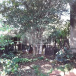 Terreno com 850,00 m²