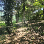 Casa para Locação no Condomínio Jardim América em Vinhedo/SP