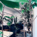 Apartamento para alugar com 1 quarto em Bela Vista, São Paulo, SP