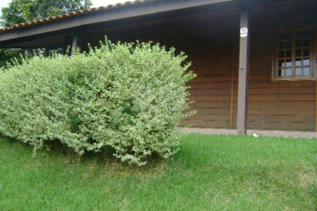 Casa à venda com 3 quartos, sendo 1 suíte, no condomínio Estância Marambaia, Vinhedo - SP
