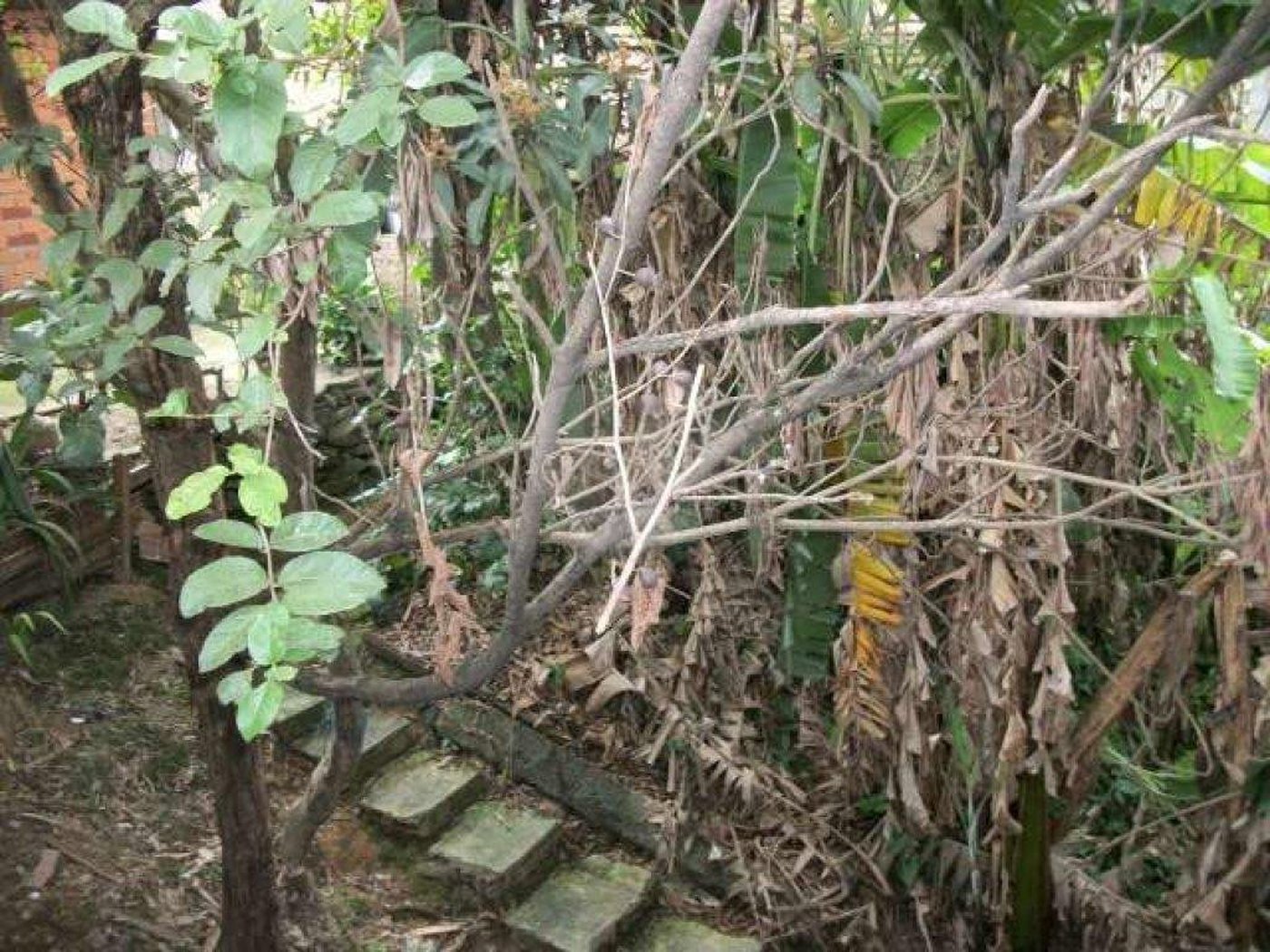 Terreno à venda em Jardim Jussara, São Paulo, SP