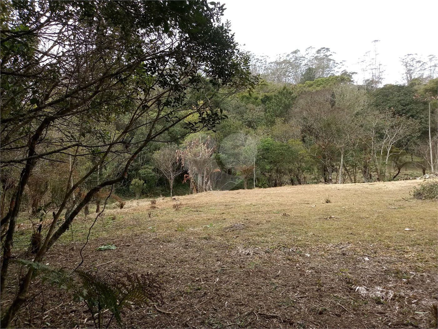 Sítio à venda com 6 quartos no Centro, Mogi das Cruzes, SP