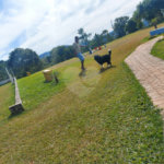Chácara à venda com 4 suítes no Centro, Nazaré Paulista, SP