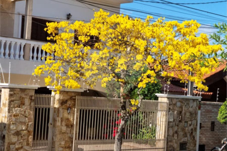 Casa à venda ou para alugar com 3 suítes em Parque Campolim, Sorocaba, SP