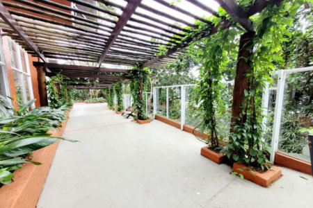 Terreno à venda, 1800 m² por R$ 4.700.000,00 - Ilha Porchat - São Vicente/SP