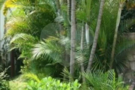APTO PARQUE DA MOÓCA - MARAVILHOSO