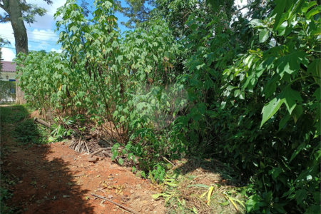 Terreno à venda no Centro (mailasqui), São Roque, SP