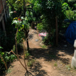 Terreno à venda em Jardim Maristela Ii, Atibaia, SP
