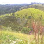 Hotel à venda com 7 quartos, sendo 4 suítes, no Centro, Soledade de Minas, MG