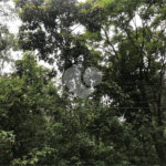 Terreno à venda no condomínio Jardim da Montanha I, Mairiporã - SP