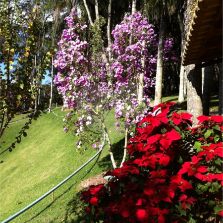 Sítio à venda com 3 suítes em Recreio Costa Verde, Itatiba, SP