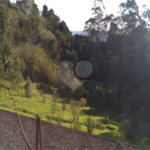Terreno à venda em Serra da Cantareira, Mairiporã, SP
