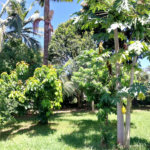 Chácara à venda com 3 quartos, sendo 1 suíte, em Barreirinho, Araçoiaba da Serra, SP