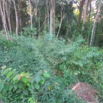 Terreno à venda no condomínio Sausalito, Mairiporã - SP