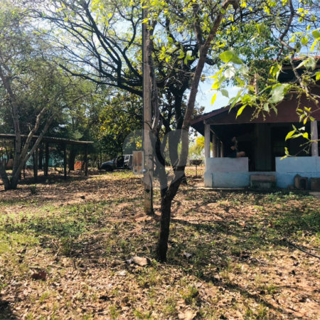 Sítio à venda com 3 quartos em Área Rural de Três Lagoas, Três Lagoas, MS
