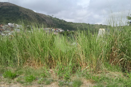 Terreno à venda no condomínio Residencial Mirela - Lotes e Terrenos, Rio de Janeiro - RJ