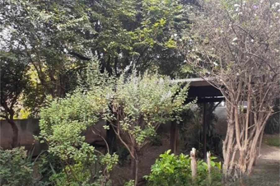 Casa Térrea à venda com 6 quartos, sendo 1 suíte, em Pirituba, São Paulo, SP