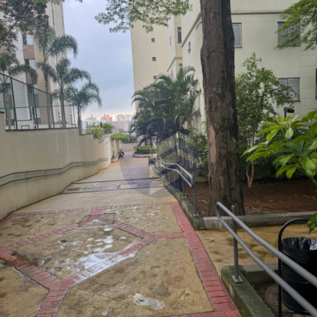 Apartamento para alugar com 3 quartos em Jardim Esmeralda, São Paulo - SP