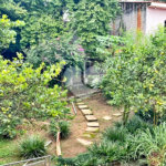 Casa à venda com 3 quartos, sendo 1 suíte, em Vila Albertina, São Paulo, SP
