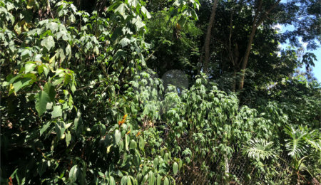 Terreno à venda em Serra da Cantareira, Mairiporã, SP