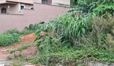 Terreno à venda em Vila Albertina, São Paulo, SP