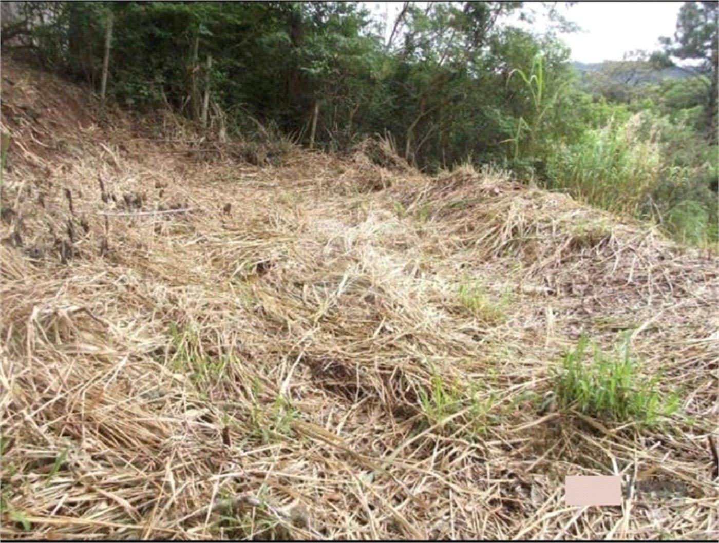 Terreno à venda em San Fernando Valley, Atibaia, SP