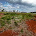 Terreno à venda no condomínio Residencial Quinta das Palmeiras, Itapetininga - SP