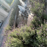 Apartamento à venda com 3 suítes em Indianópolis, São Paulo, SP