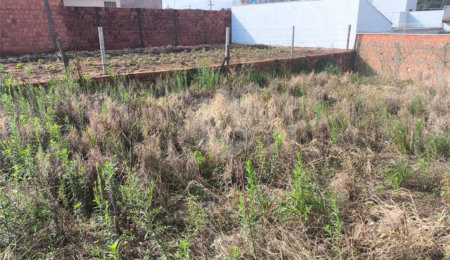 Terreno à venda em Jardim Embaré, São Carlos, SP