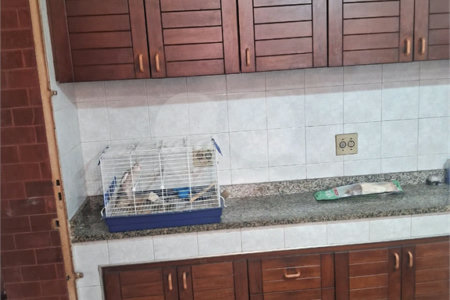 Casa à venda com 3 quartos, sendo 1 suíte,  em Tijuca, Rio de Janeiro, RJ