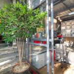 Casa à venda ou para alugar com 3 quartos, sendo 1 suíte, em Butantã, São Paulo, SP