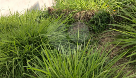 Terreno à venda em Horto, São Paulo, SP